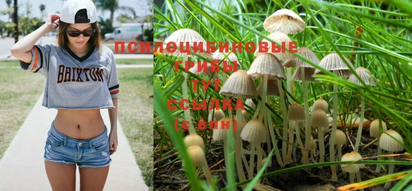 мдпв Мегион