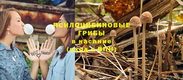 MESCALINE Ачинск