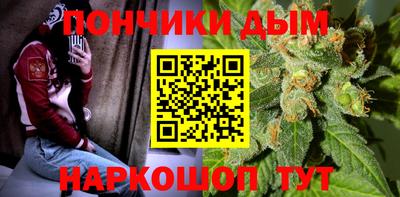 гидра Дубна