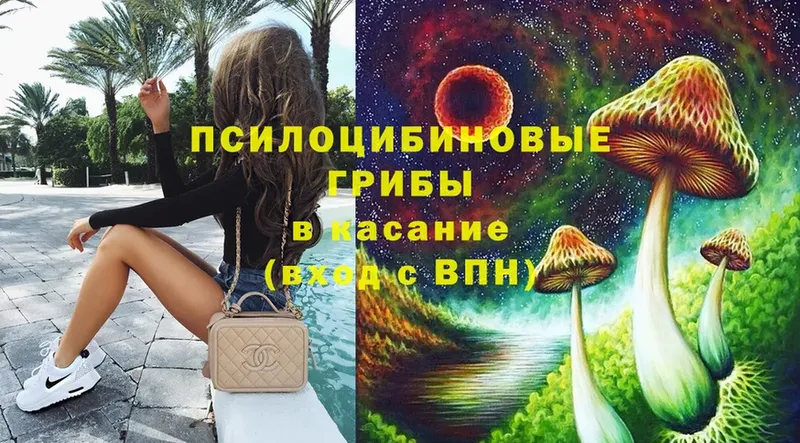 Галлюциногенные грибы Psilocybe  Энгельс 