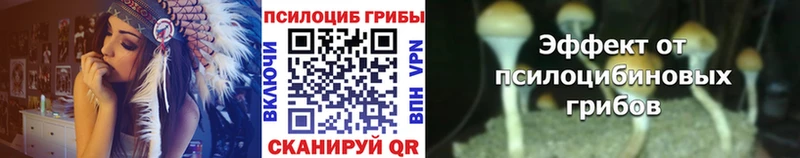 Псилоцибиновые грибы мицелий  Энгельс 