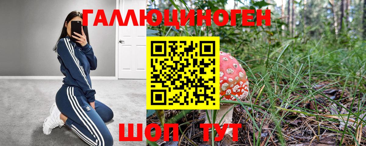 Энгельс  Псилоцибиновые грибы мухоморы  Вход с VPN 