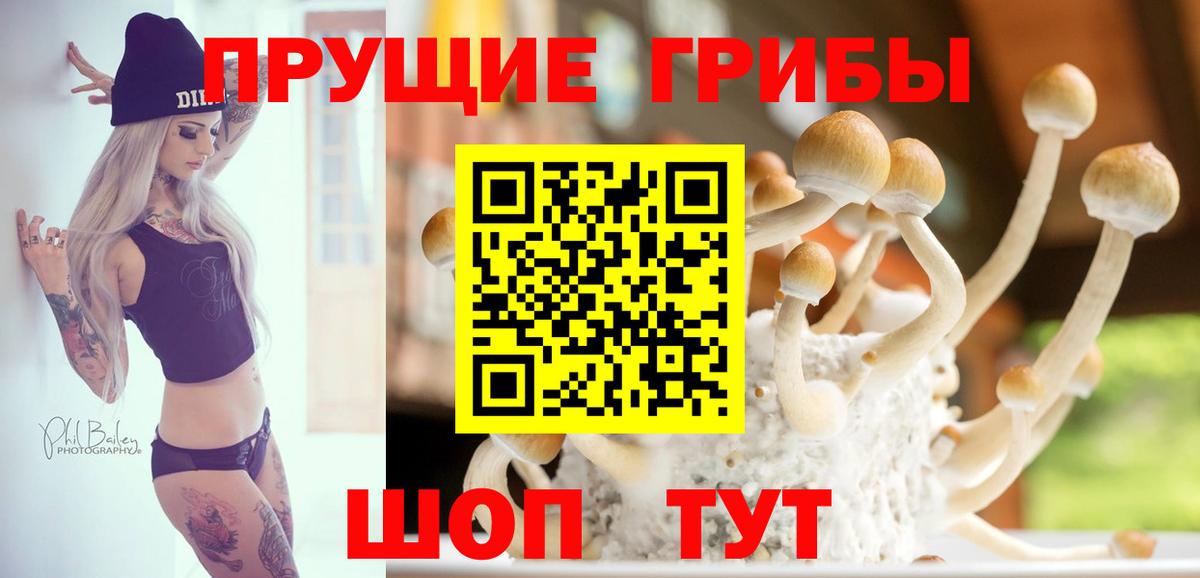 Галлюциногенные грибы GOLDEN TEACHER  Псилоцибиновые грибы Magic Shrooms  Энгельс 