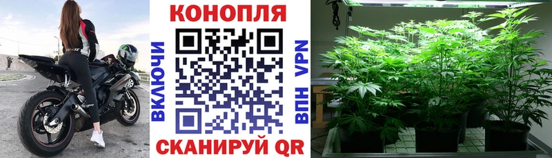 Канабис SATIVA & INDICA Энгельс